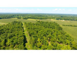 Property photo 33 - LAND AUCTION - 1,193+/- ACRES IN 14 TRACTS IN PIKE & GIBSON COUNTY, INDIANA